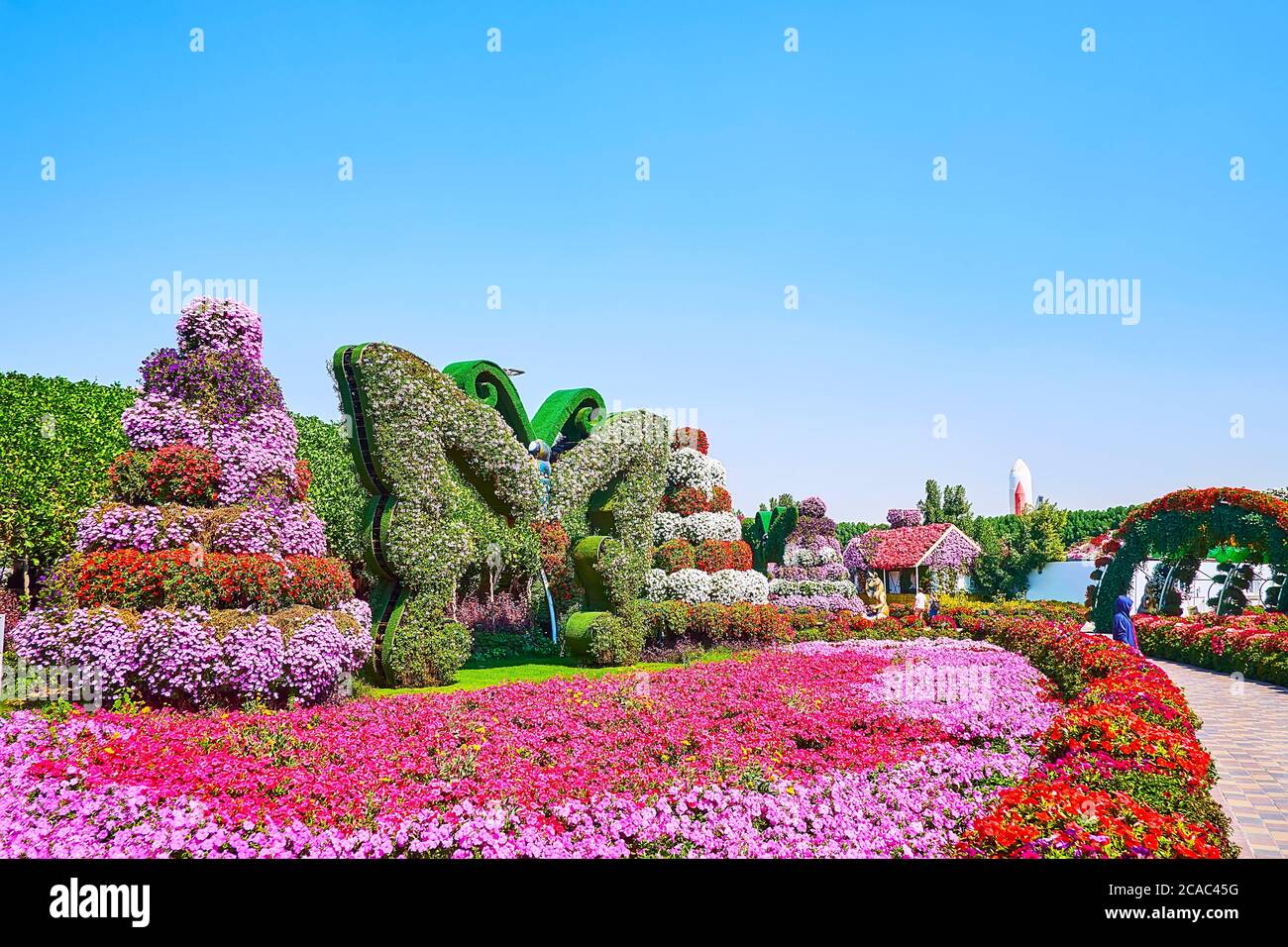 DUBAI, VAE - 5. MÄRZ 2020: Das leuchtend rosa Blumenbett der Petunias ist mit Schmetterlingsinstallation geschmückt und steht mit Pflanzen in Töpfen, Miracle gar Stockfoto