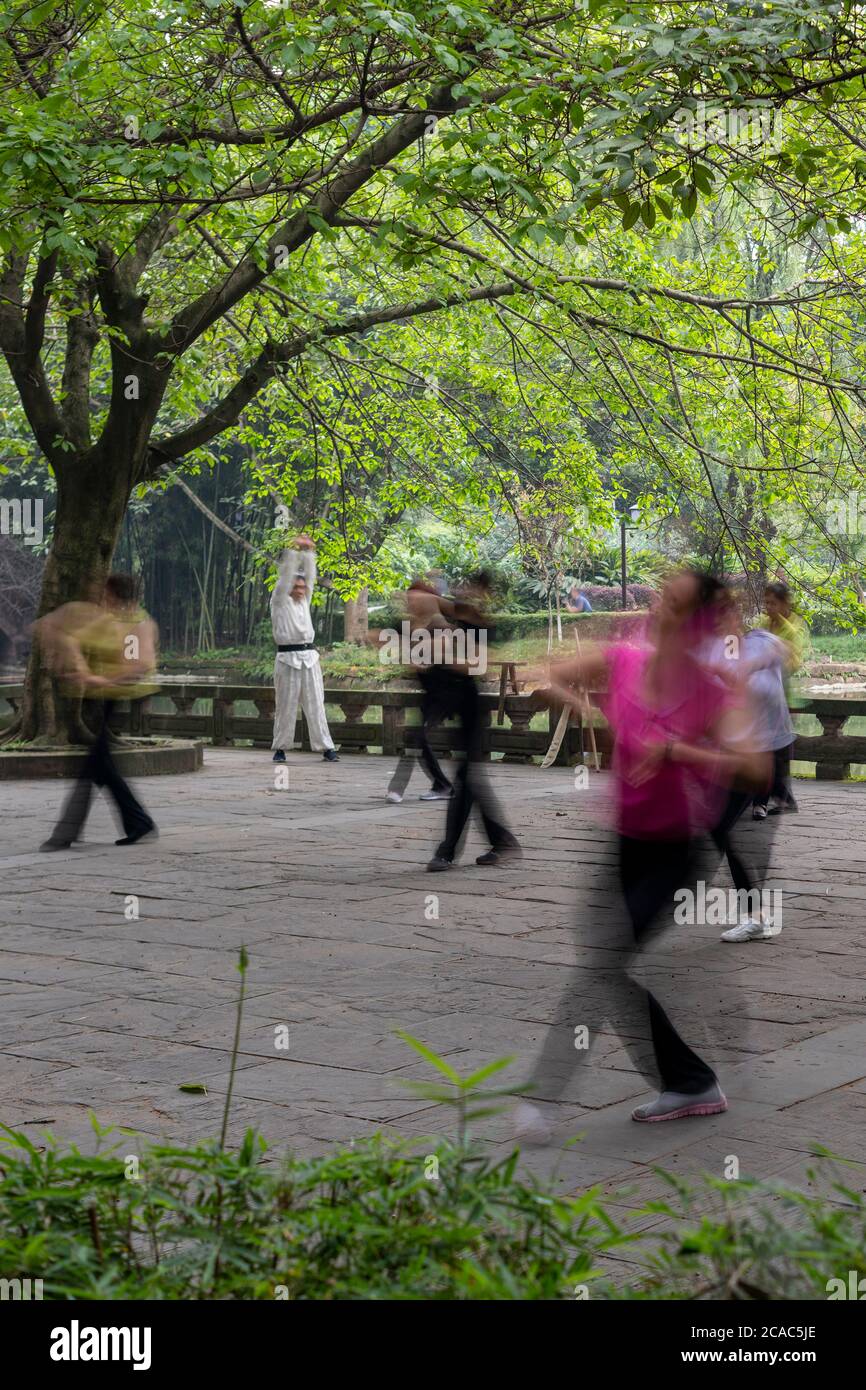 Menschen praktizieren Tai Chi im Wangjianglou Park in Chengdu. Stockfoto