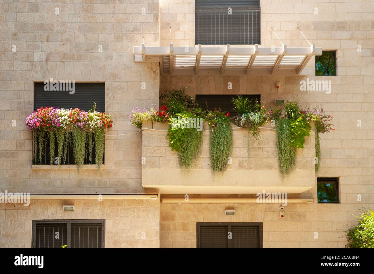 Gut gepflegter Balkon mit Blumentöpfen und Topfpflanzen fotografiert in Jerusalem, Israel Stockfoto