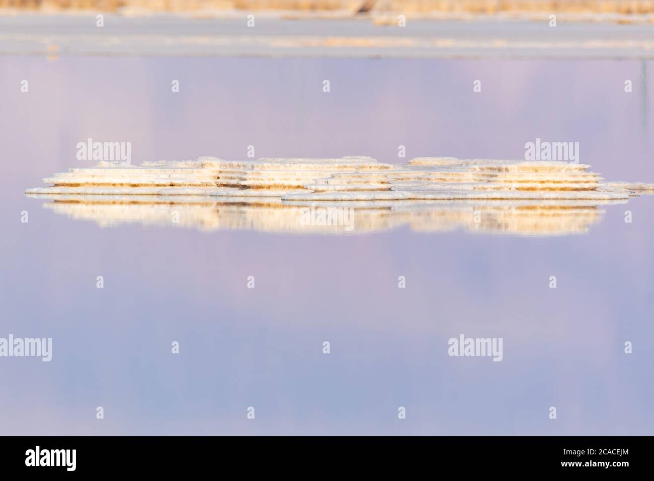 Israel, Totes Meer Salz Crystalization verursacht durch Wasserverdunstung Stockfoto