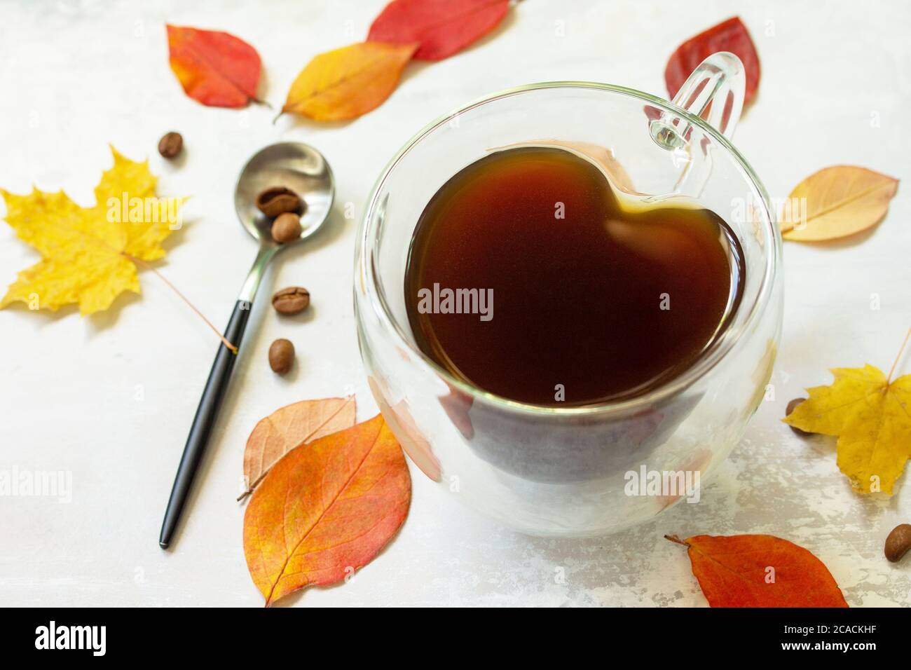 Herbstliches Konzept mit mup Tasse heißen Kaffee. Stockfoto