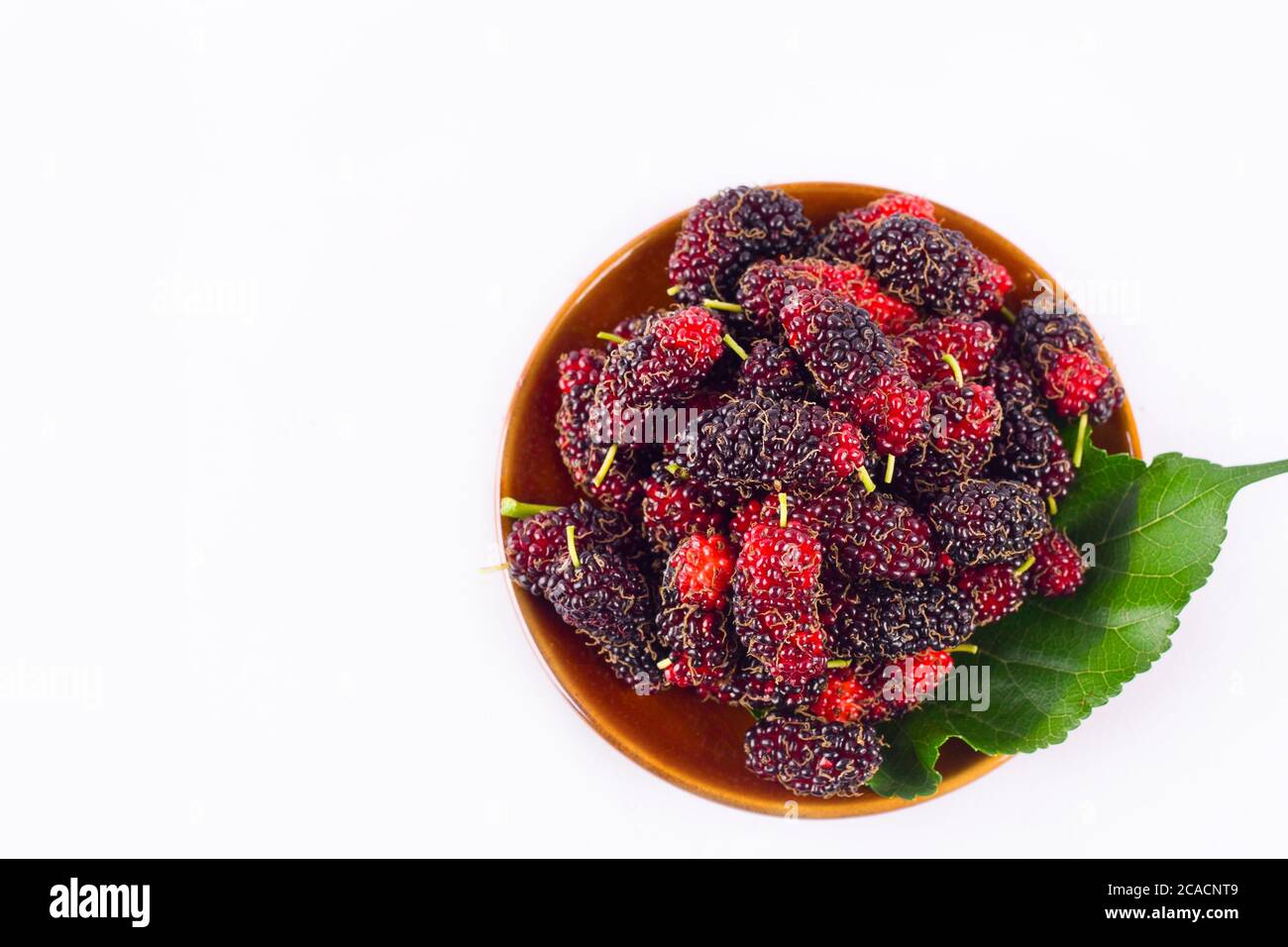 Rote und schwarze Beerenfrucht und Maulbeerblatt in brauner Schale auf weißem Hintergrund gesunde Maulbeerfrucht Nahrung isoliert Stockfoto
