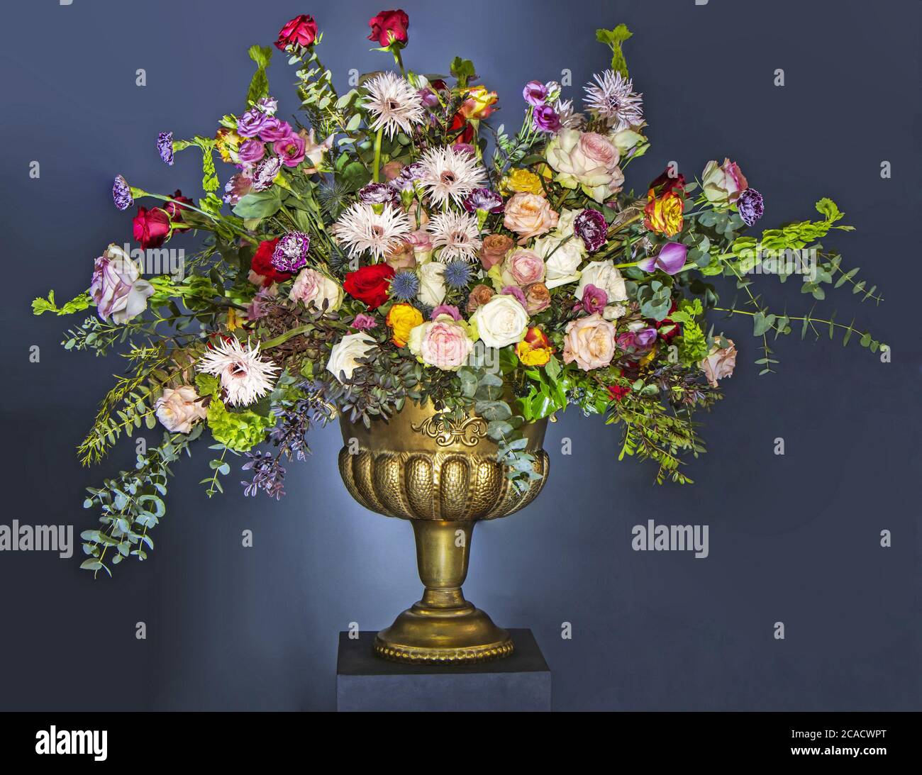 Ein schöner großer Blumenstrauß mit vielen verschiedenen Blumen in einem goldenen Topf, auf blauem Hintergrund Stockfoto