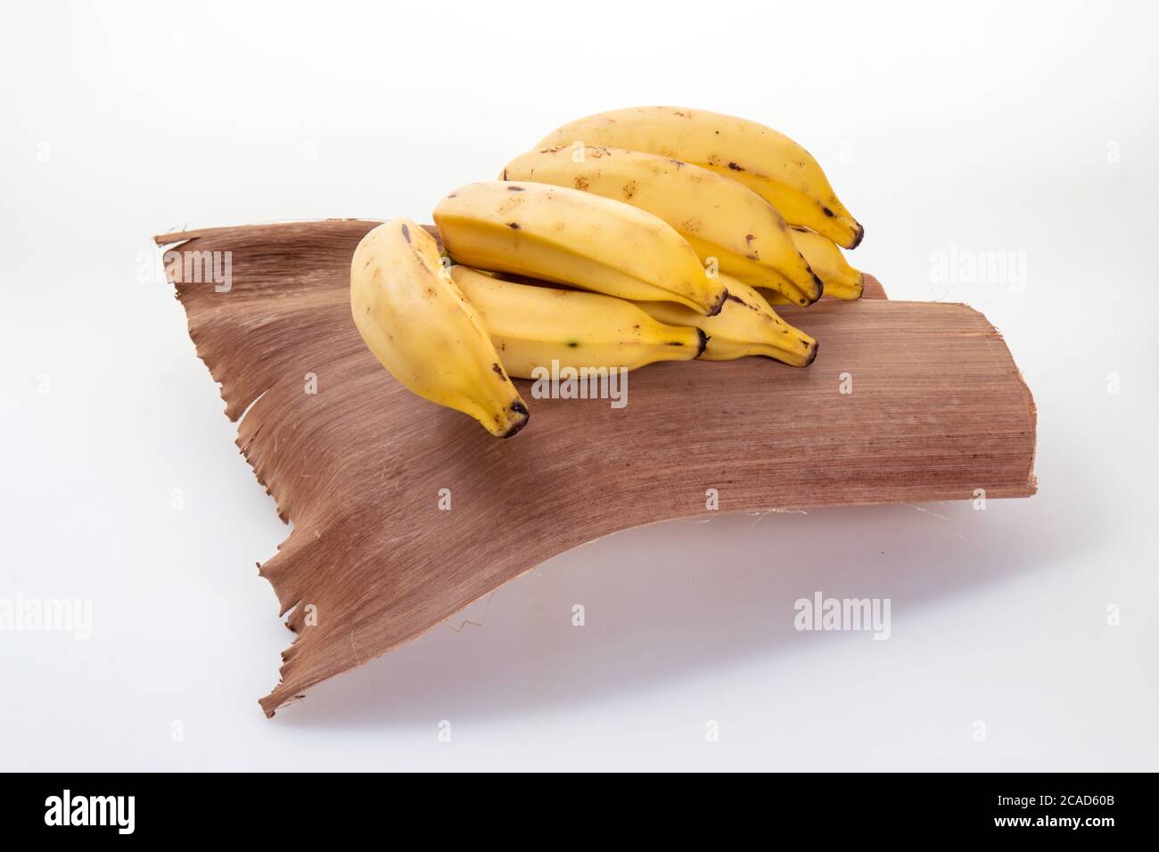 Bündel von Bananen isoliert auf weißem Hintergrund + Clipping Path. Stockfoto