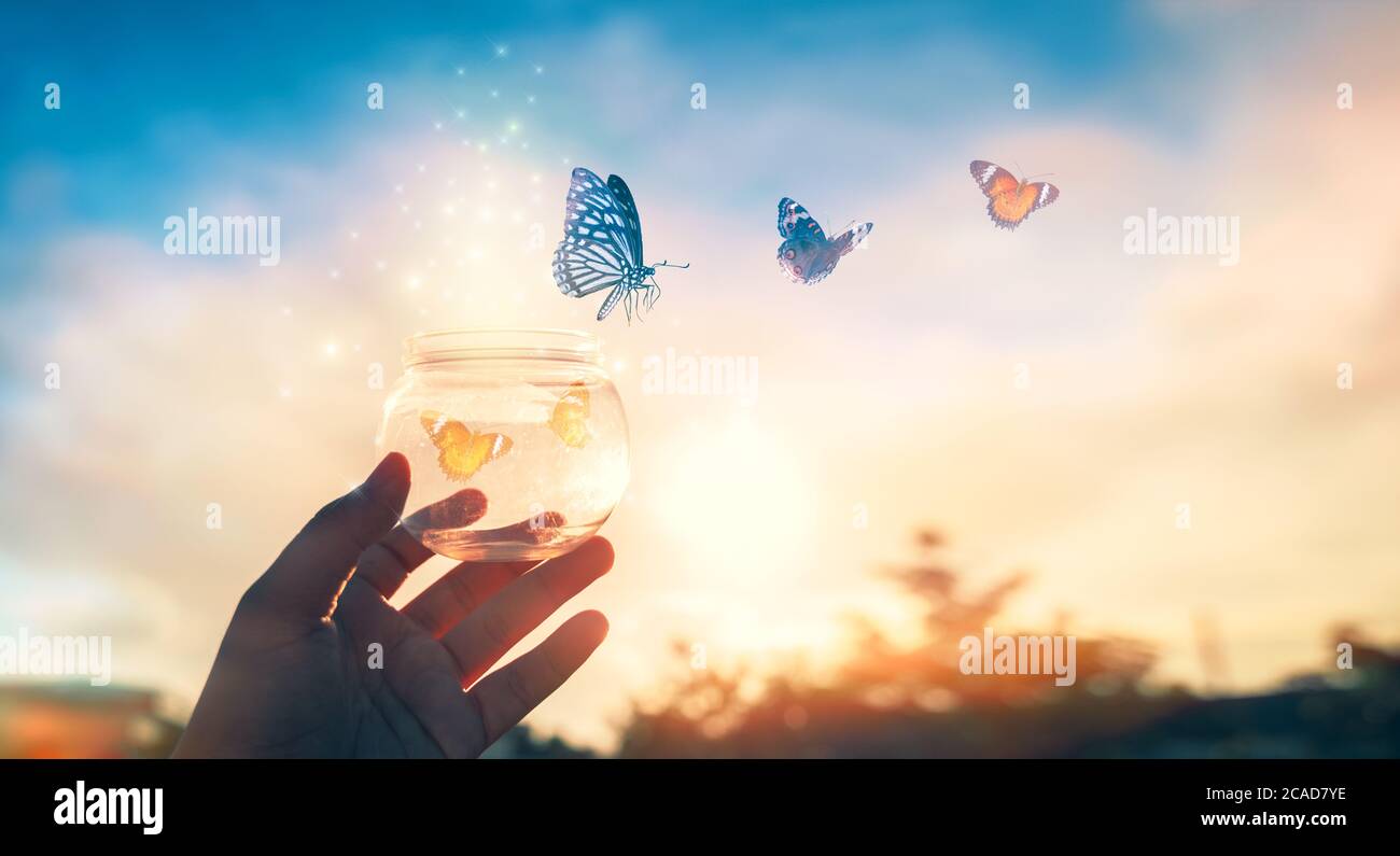 Das Mädchen befreit die Schmetterling aus dem Glas, golden Blue moment Begriff der Freiheit Stockfoto