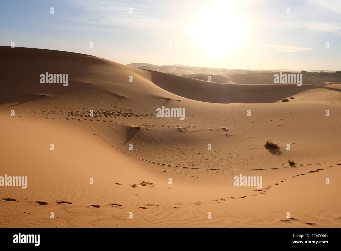 Wilde braune Sahara Dünen unter starkem Sonnenschein. Schritte auf Sand keine Menschen. Sahara, in der Nähe von Merzouga in Marokko Stockfoto