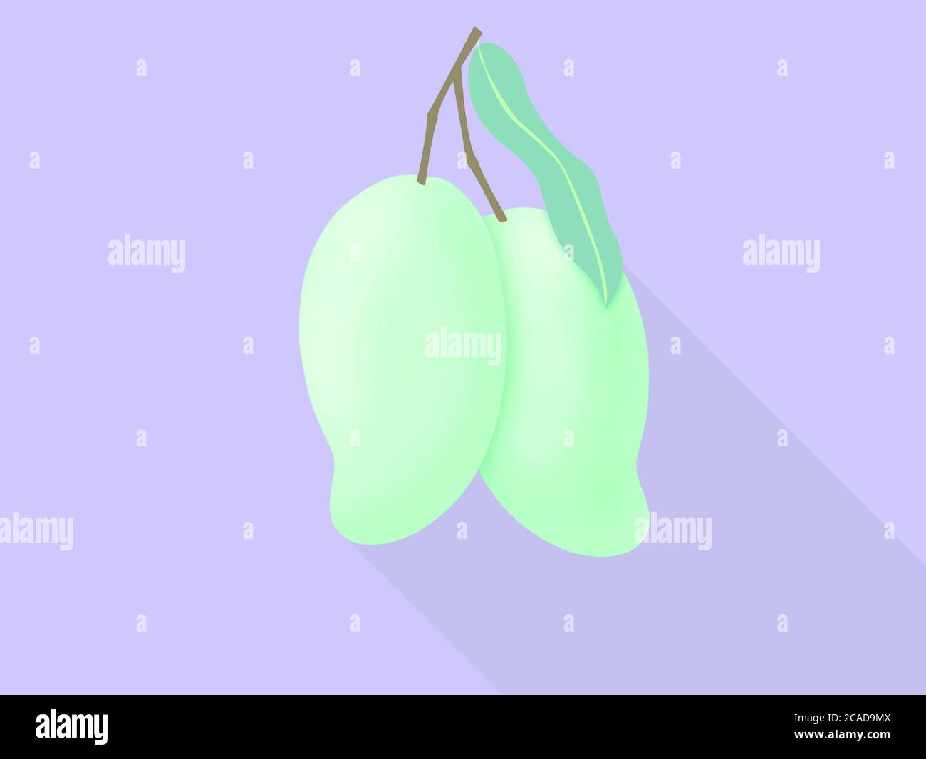 Zwei grüne Mango von tropischen Früchten Ikone für Poster in flachem Design auf purpurem Hintergrund Stockfoto