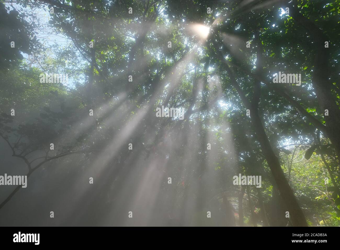 Tyndall Effekt Stockfotos Und Bilder Kaufen Alamy