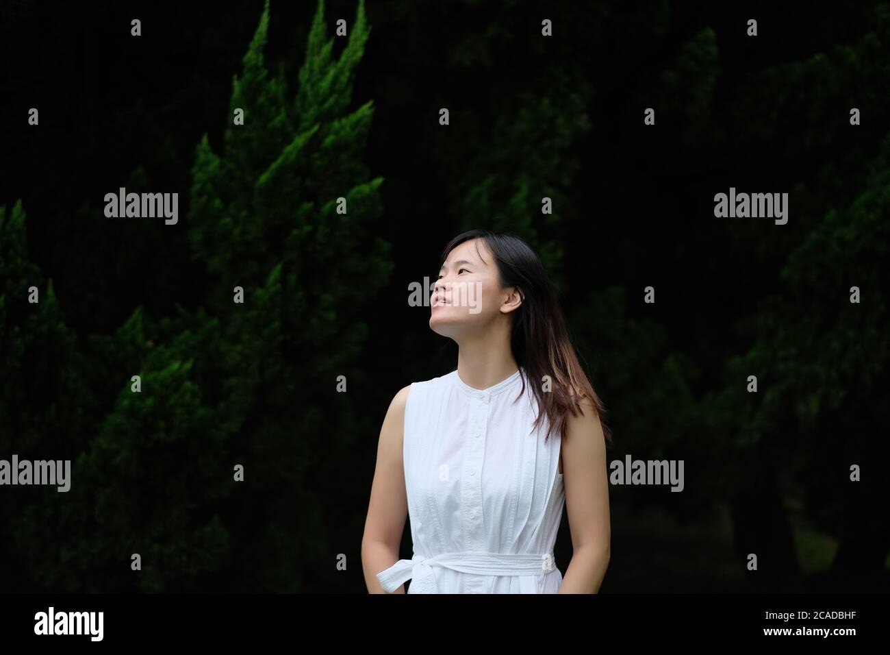 Ein asiatisches Mädchen in reinem weißen Rock, vor Kiefern unter natürlichem Tageslicht stehend. Unschärfem dunklen Hintergrund. Natürliche Schönheit Stockfoto