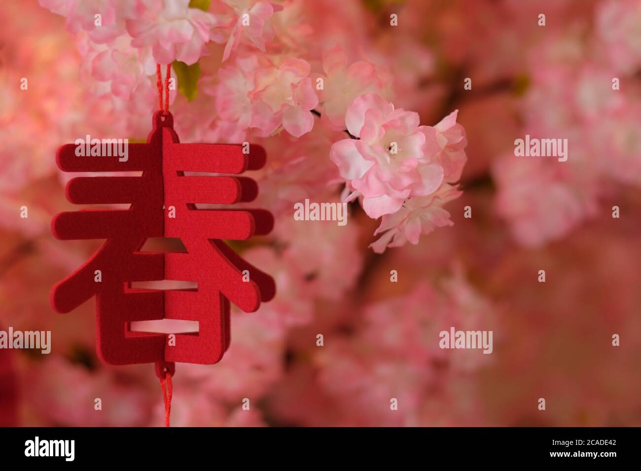 Nahaufnahme Chinesisches Wort Frühling als Ornament, das am Baum hängt. Blur rosa Blumen Hintergrund. Frühlingsfest Konzept Stockfoto