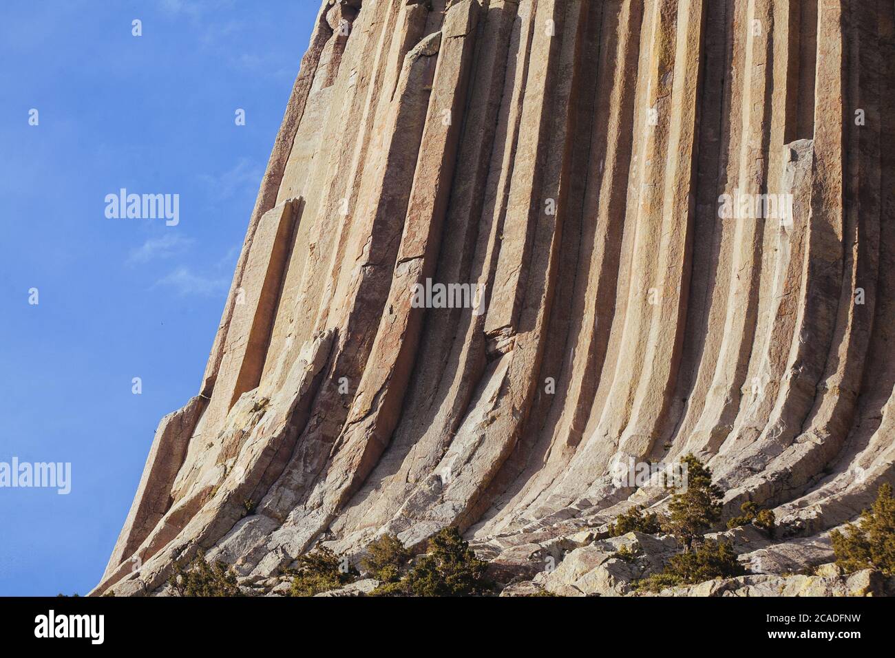 Nahaufnahme des Devils Tower (Wyoming) vom Tower Loop Trail Stockfoto