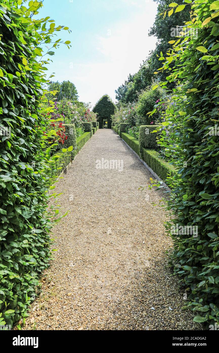 Beschnittene Hecken von Eibe säumen einen Schotterweg bei East Ruston Old Vicarage Garden, East Ruston, Norfolk, England, Großbritannien Stockfoto