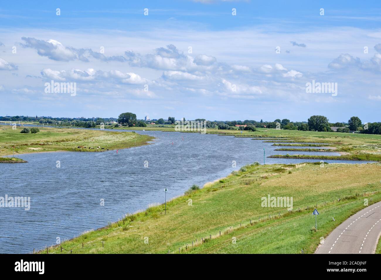 Typisch holländische Flusslandschaft mit Kühen, Grünland, Auen und dem Rhein mit Groyne in Flussbiegung bei Wageningen, Gelderland, der Stockfoto