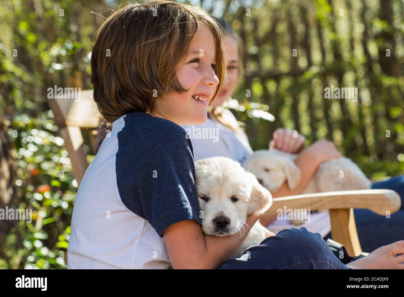 6 Jahre alter Junge mit einem englischen goldenen Retriever Welpen Stockfoto