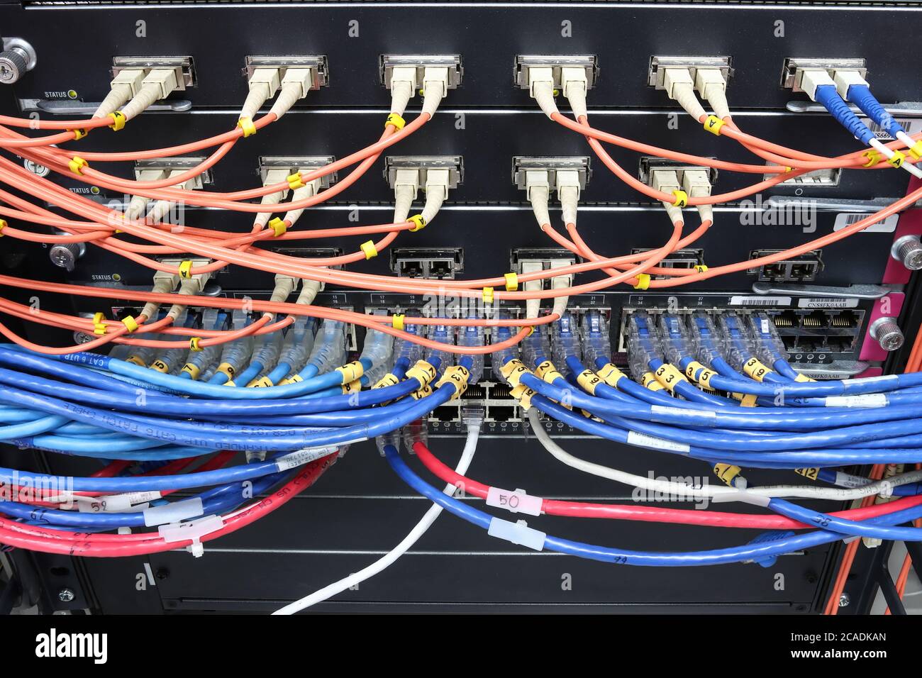 Kabelnetzwerk, Glasfaserkabel verbinden mit Switch-Port im Serverraum, Konzept Netzwerkmanagement Stockfoto