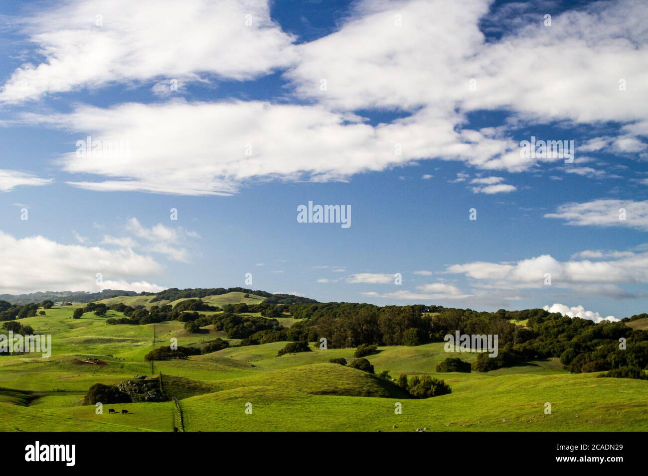 Wide Open - Wolken und leuchtend grüne Hügel werden durch Regen aufgepumpt. Napa County, Kalifornien, USA Stockfoto