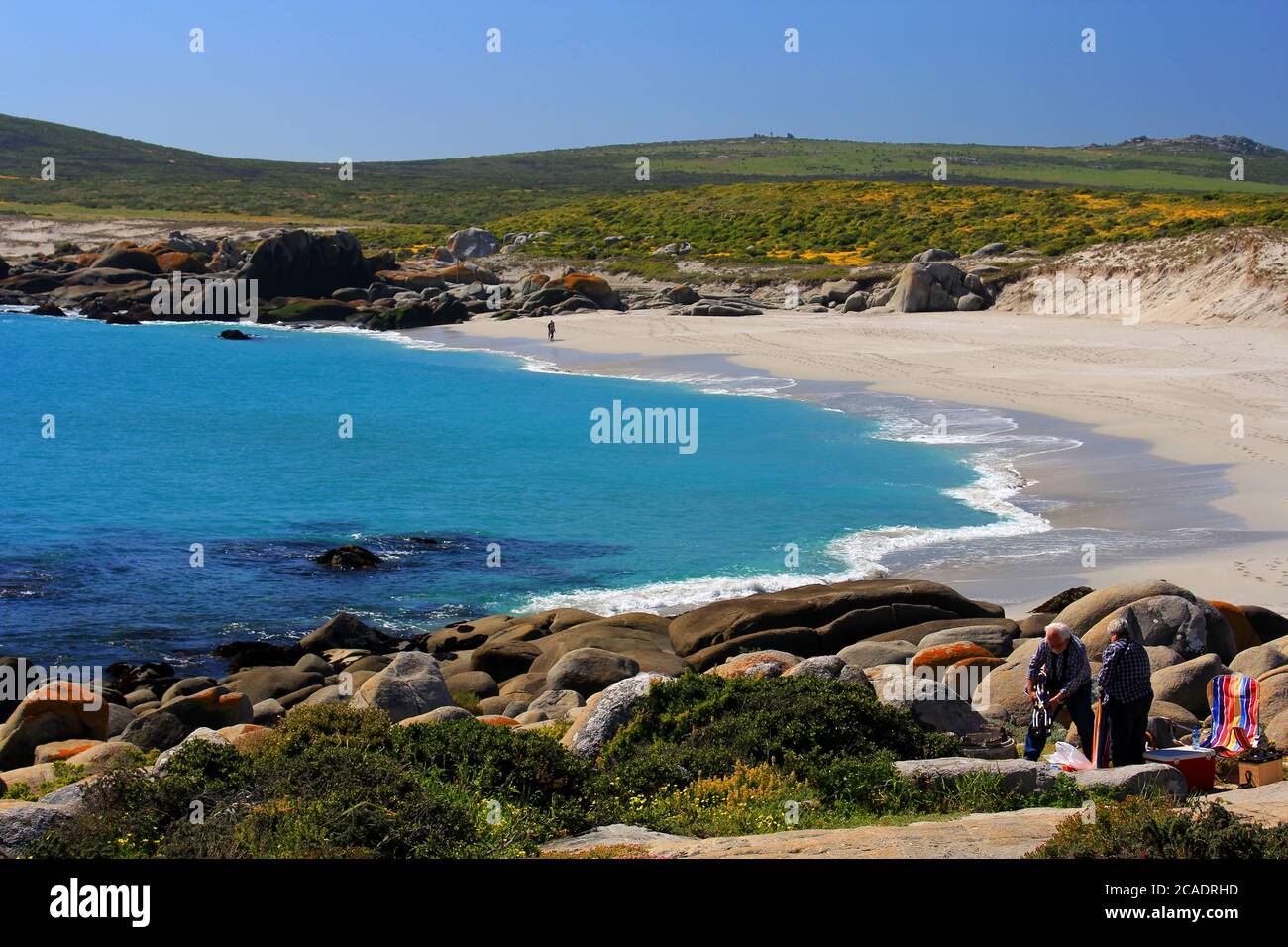 Ein Einzelgänger an einem unberührten Strand im West Coast National Park in der Nähe von Kapstadt. Dieser Bereich ist auf privatem Land und ist nur an bestimmten Tagen geöffnet. Stockfoto