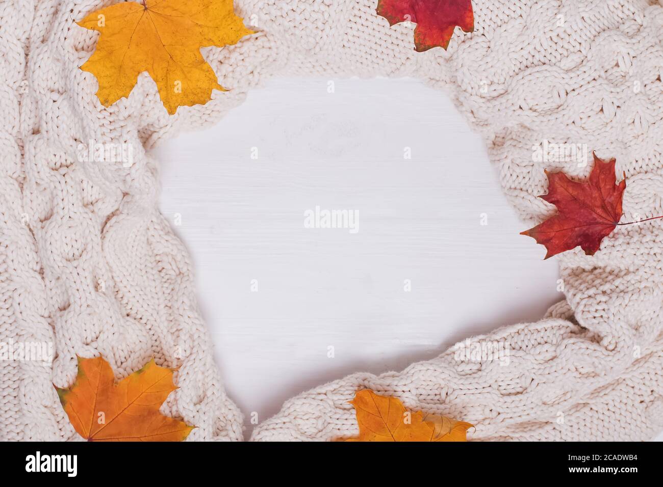 Strickpullover, Schal oder einfarbige und gelbe Blätter. Stockfoto