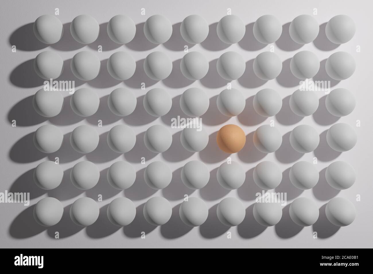 Eier braun unter einer Vielzahl von weißen Eiern. Differenzkonzept. Stockfoto
