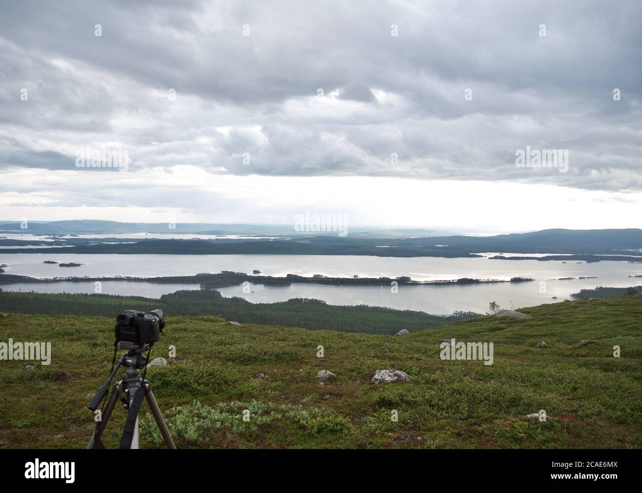 Norden von Schweden, Arjeplog, Schwedisch Lappland im Sommer Stockfoto