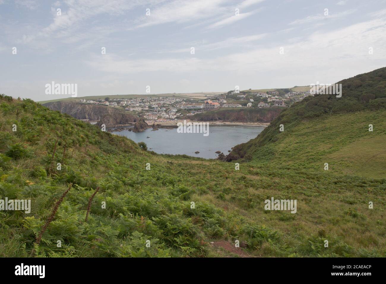 Hope Cove durch die Farne Stockfoto