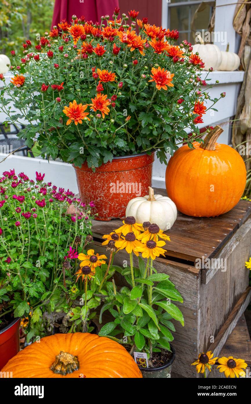 The Kitchen Garden, ein lokales Unternehmen, befindet sich in Templeton, Massachusetts Stockfoto