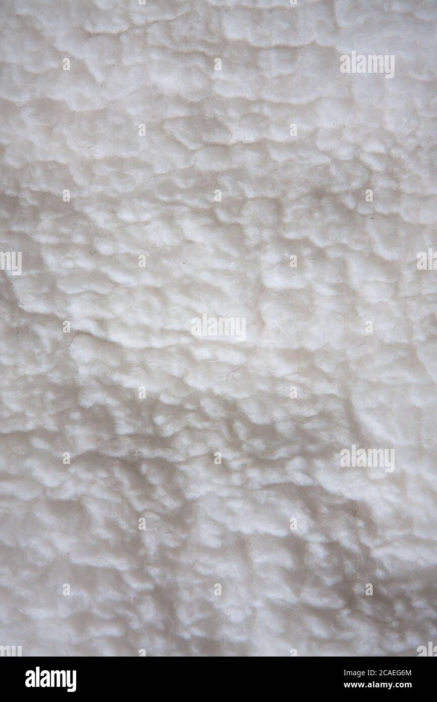 Weiße weiche Wolle Hintergrund, Detail eines natürlichen Schaffell Teppich. Stockfoto
