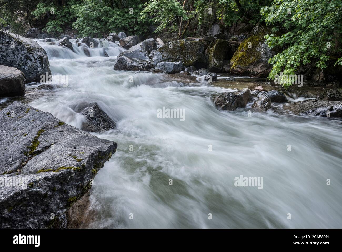 Tenaya Creek im Yosemite National Park Stockfoto