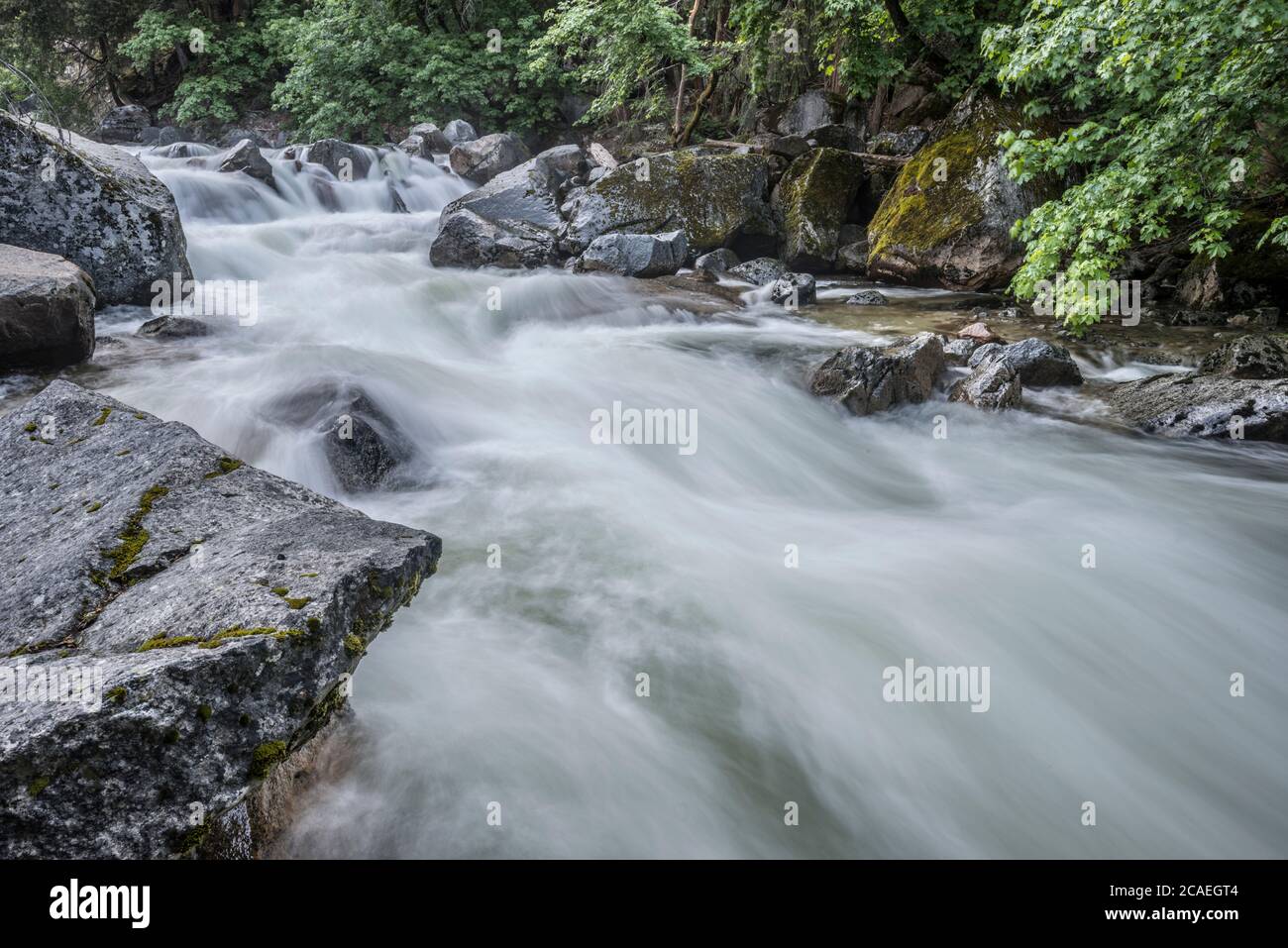 Tenaya Creek im Yosemite National Park Stockfoto