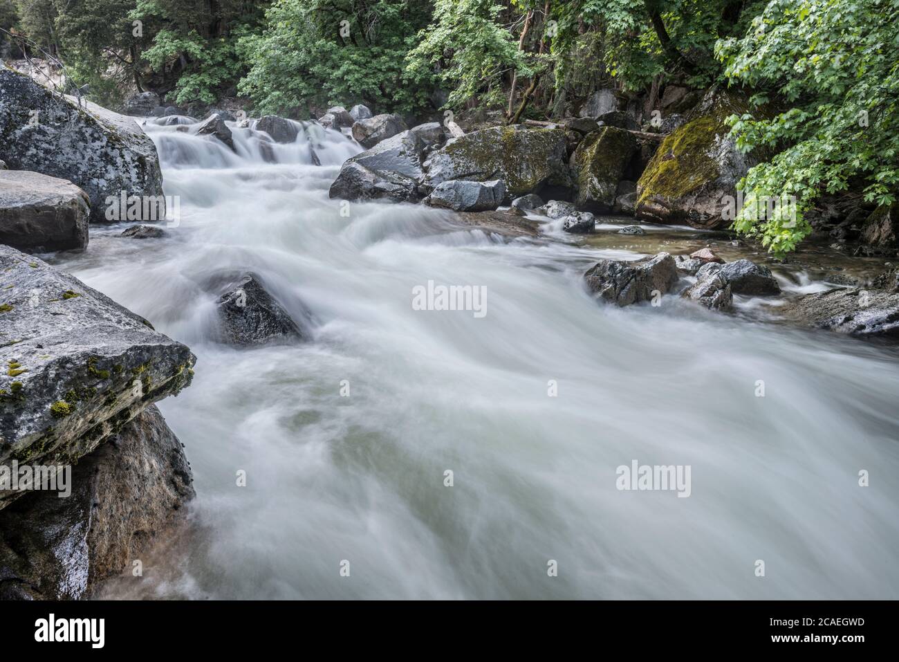 Tenaya Creek im Yosemite National Park Stockfoto