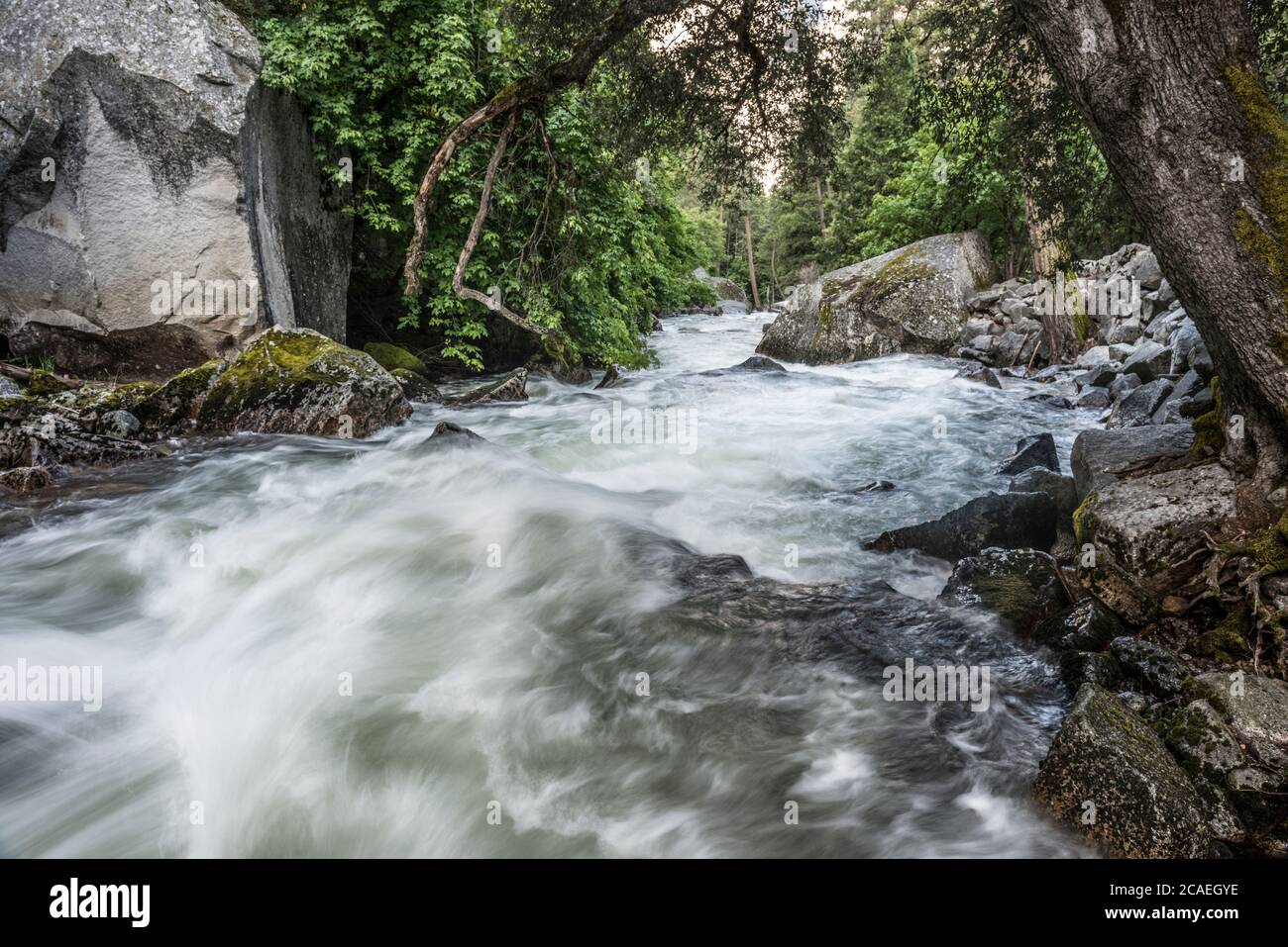 Tenaya Creek im Yosemite National Park Stockfoto