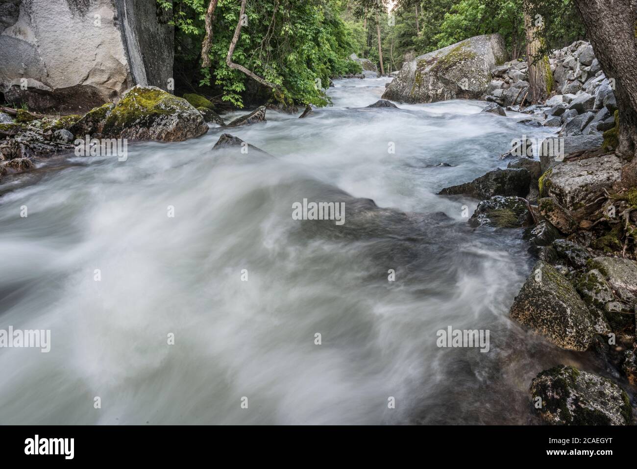 Tenaya Creek im Yosemite National Park Stockfoto