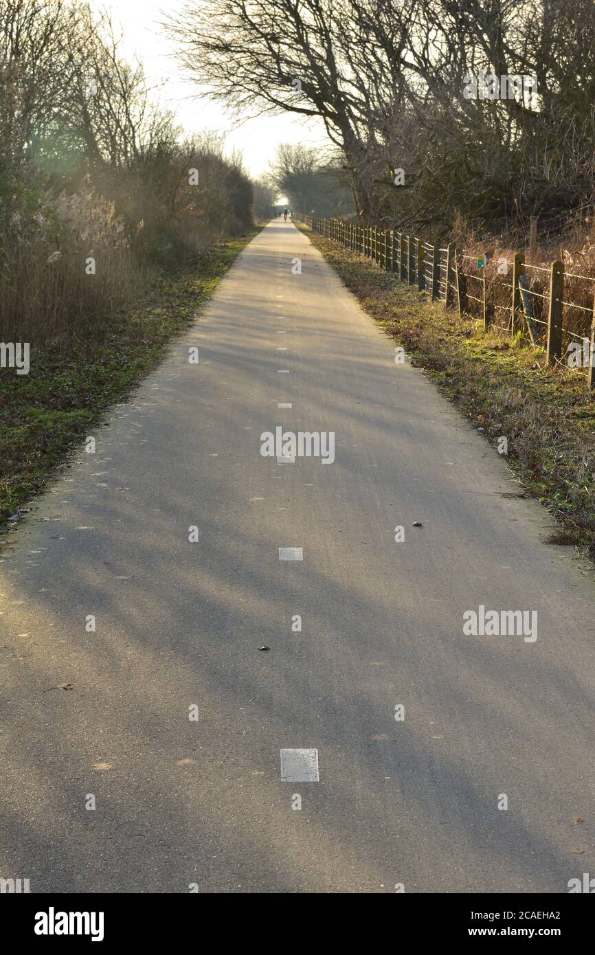 Ein Weg für Fahrräder zwischen Bäumen und Sträuchern an einem sonnigen Tag. Herbst. Stockfoto