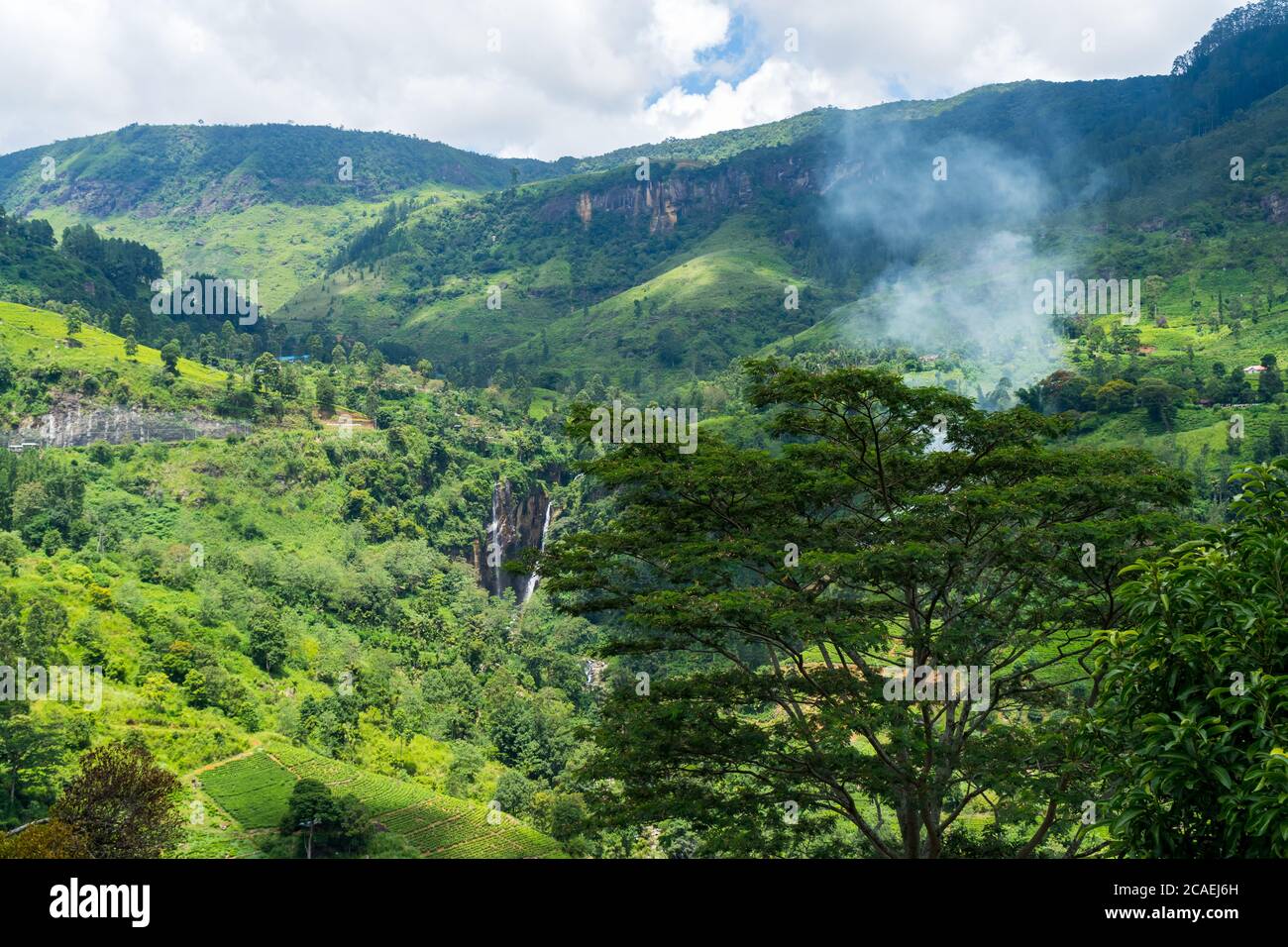 Erstaunliche Landschaft von Sri Lanka. Wasserfall in den Bergen und Teeplantage. Rauch hinter Bäumen. Stockfoto