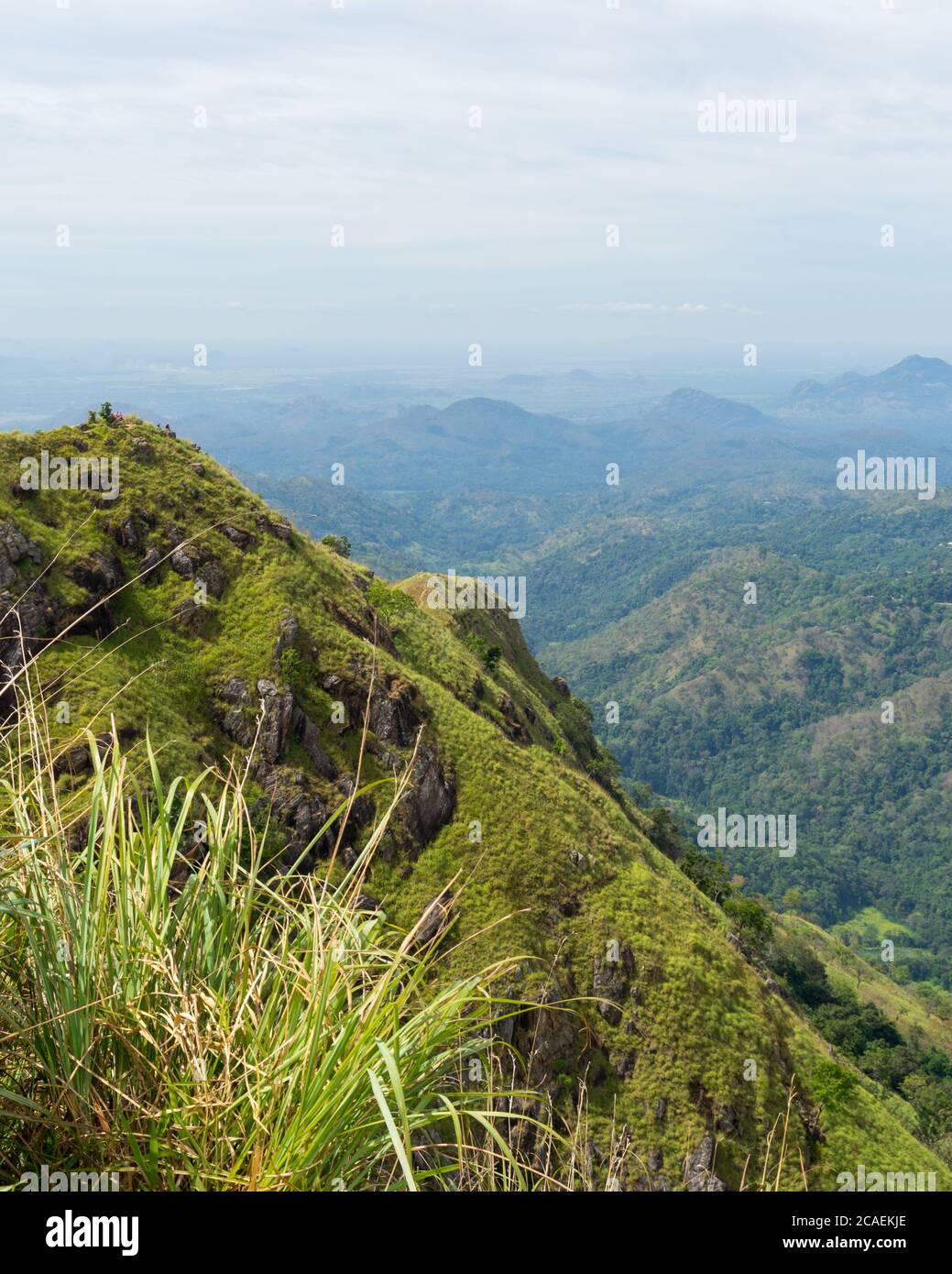 Landschaft in den Bergen. Kleiner Adams Gipfel, Ella, Sri Lanka mit Teeplantage. Hochformat Stockfoto