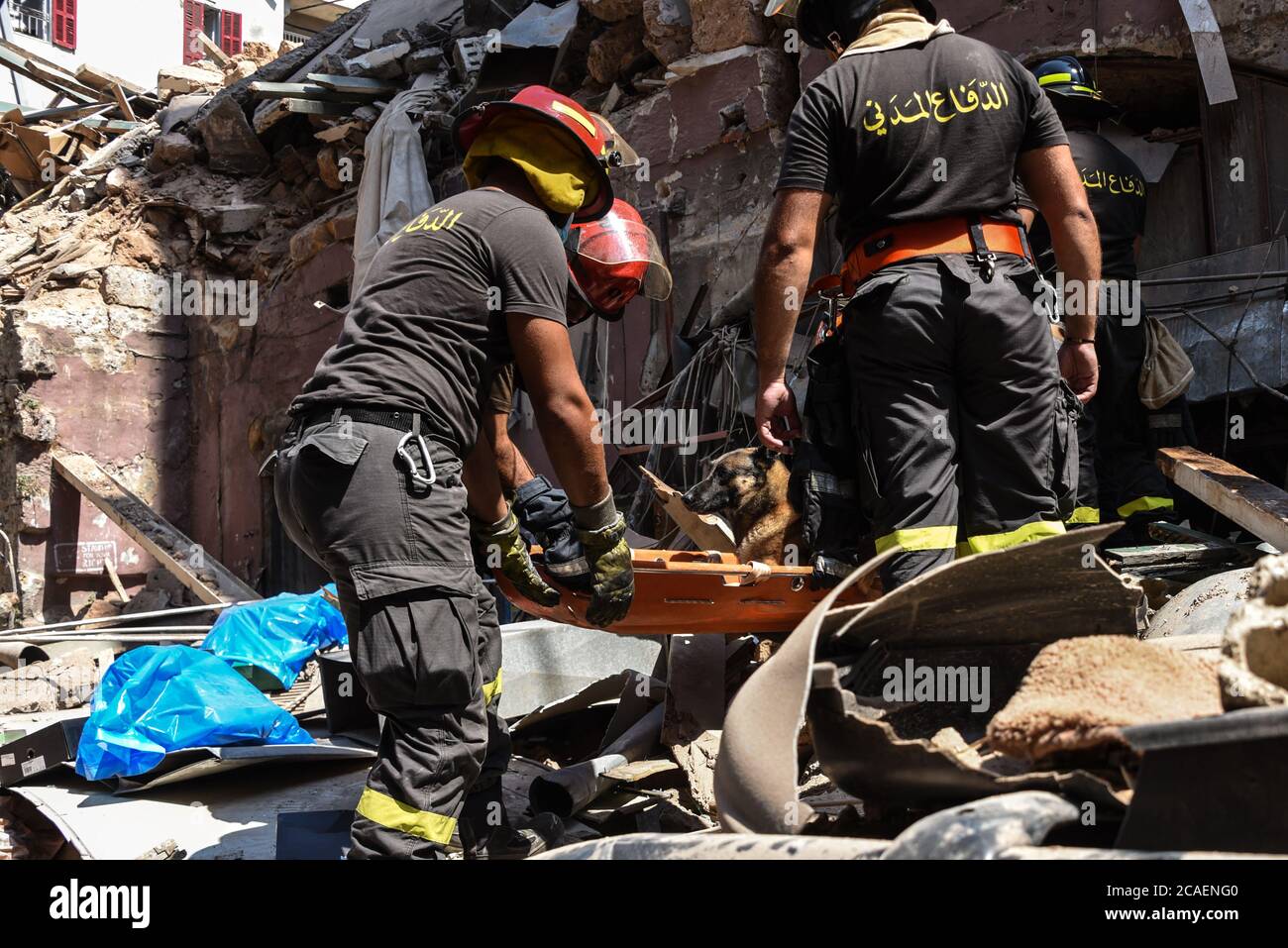 Beirut, Libanon. August 2020. Libanesische Feuerwehrleute betreten ein eingestürzter Bau in der Gemmayze-Gegend, um einen gefangenen Hund über 40 Stunden zu retten, nachdem eine katastrophale Explosion im Hafen der Hauptstadt Schäden an Gebäuden in der ganzen Stadt verursacht hat. Kredit: Elizabeth Fitt/Alamy Live Nachrichten Stockfoto