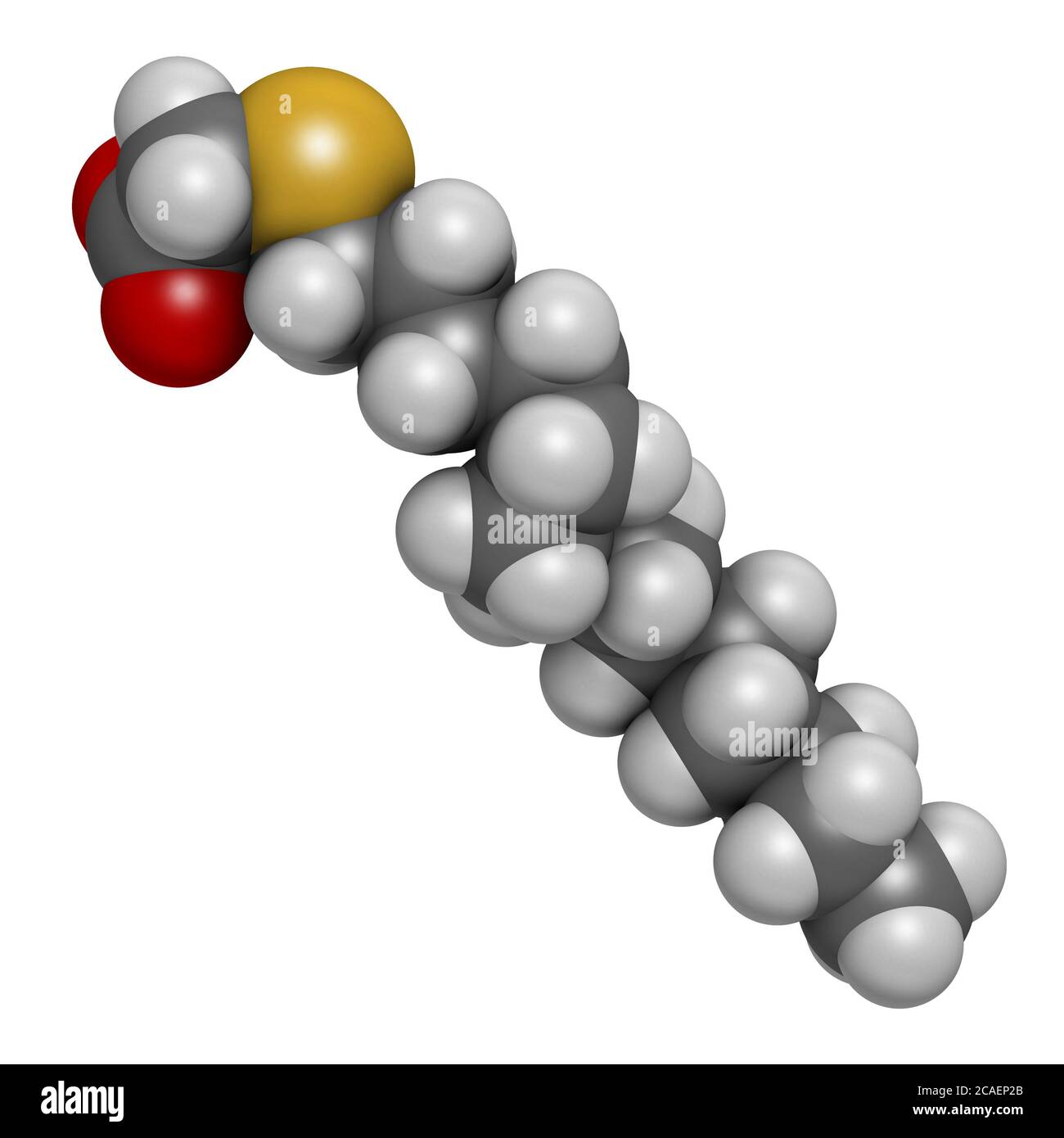 Peroxisom proliferator Fotos und Bildmaterial in hoher Auflösung Alamy