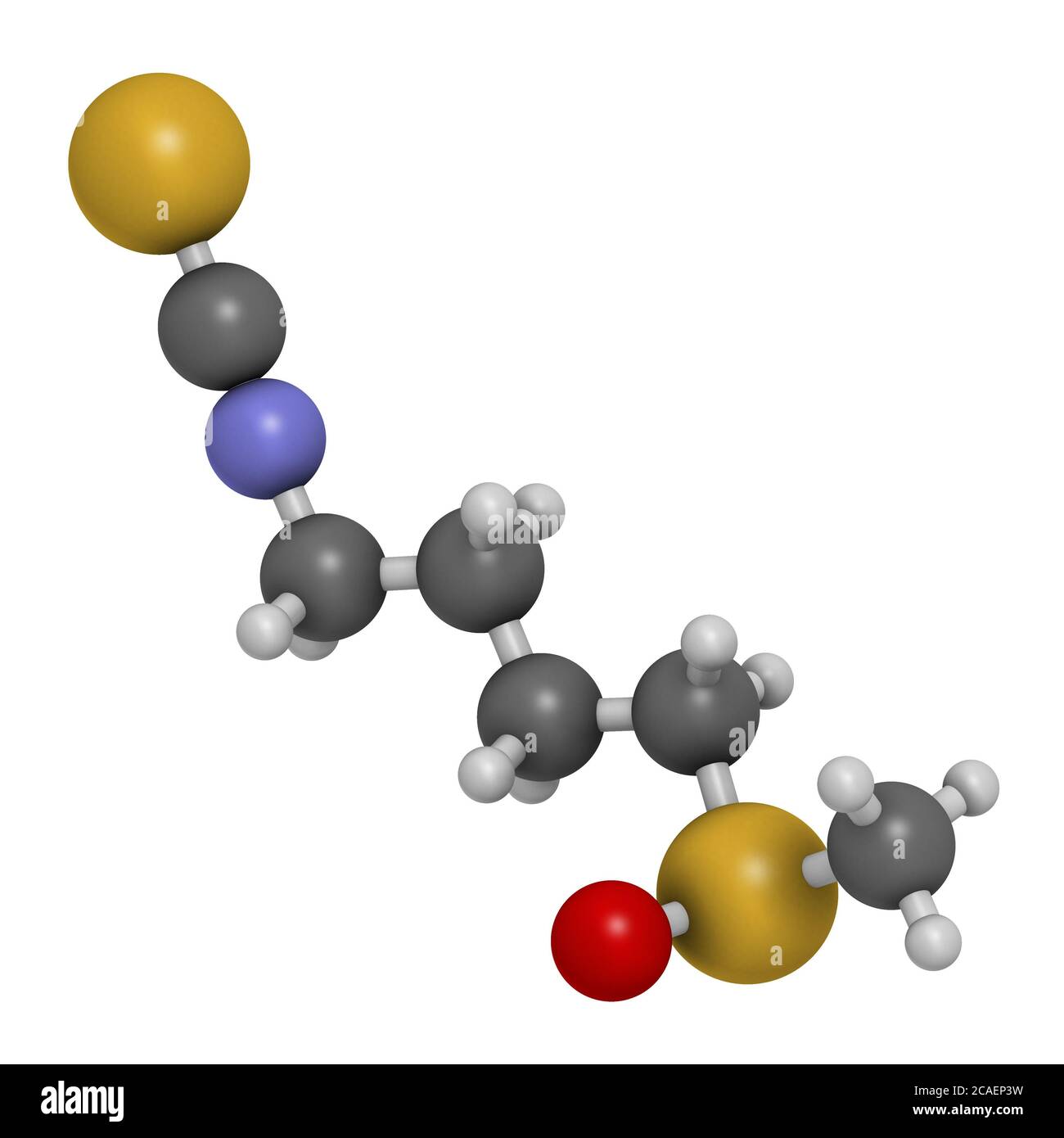 Sulforaphan Kreuzblütler pflanzliches Molekül. 3D-Rendering. Atome werden als Kugeln mit herkömmlicher Farbkodierung dargestellt: Wasserstoff (weiß), Kohlenstoff ( Stockfoto