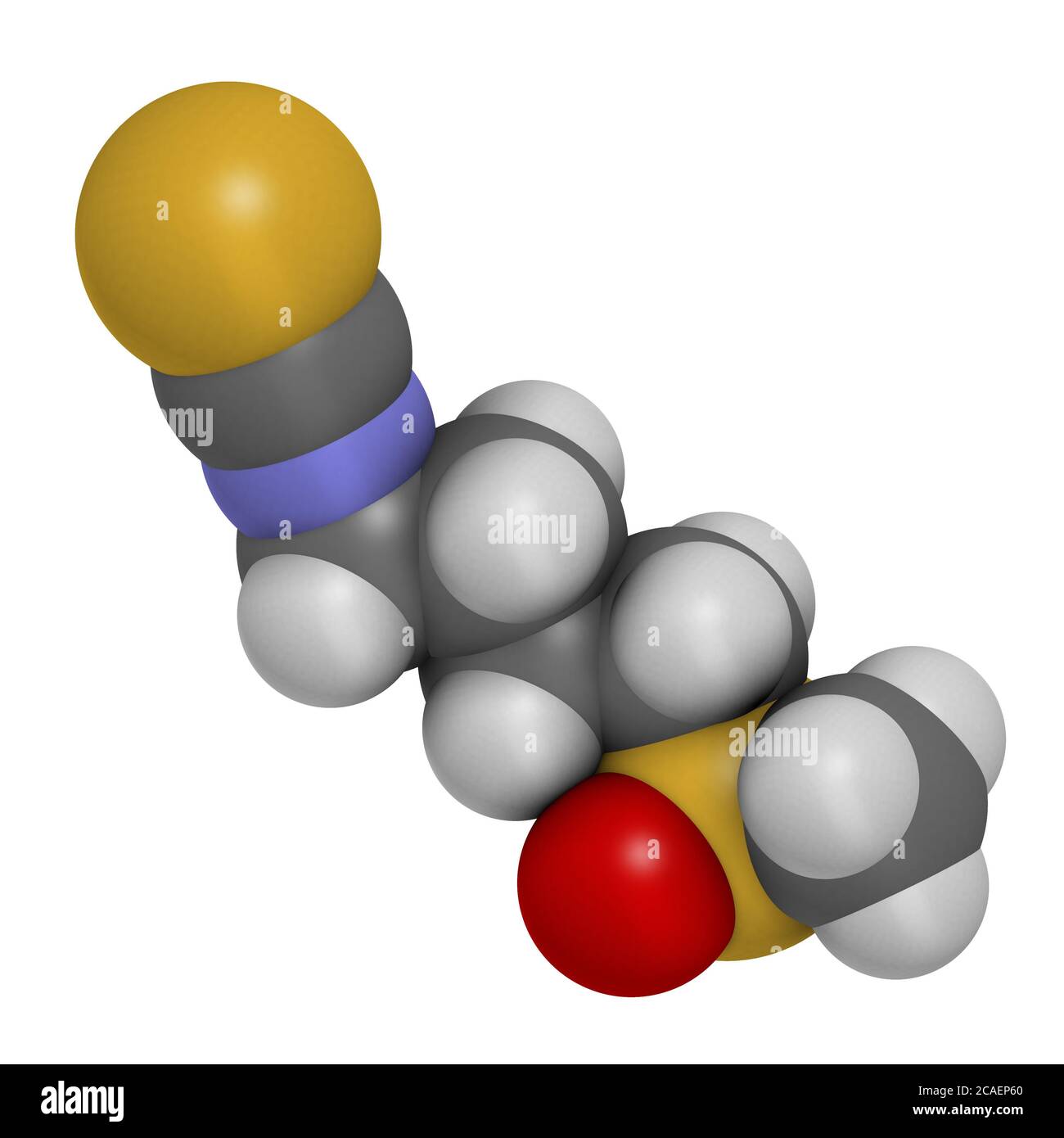 Sulforaphan Kreuzblütler pflanzliches Molekül. 3D-Rendering. Atome werden als Kugeln mit herkömmlicher Farbkodierung dargestellt: Wasserstoff (weiß), Kohlenstoff ( Stockfoto