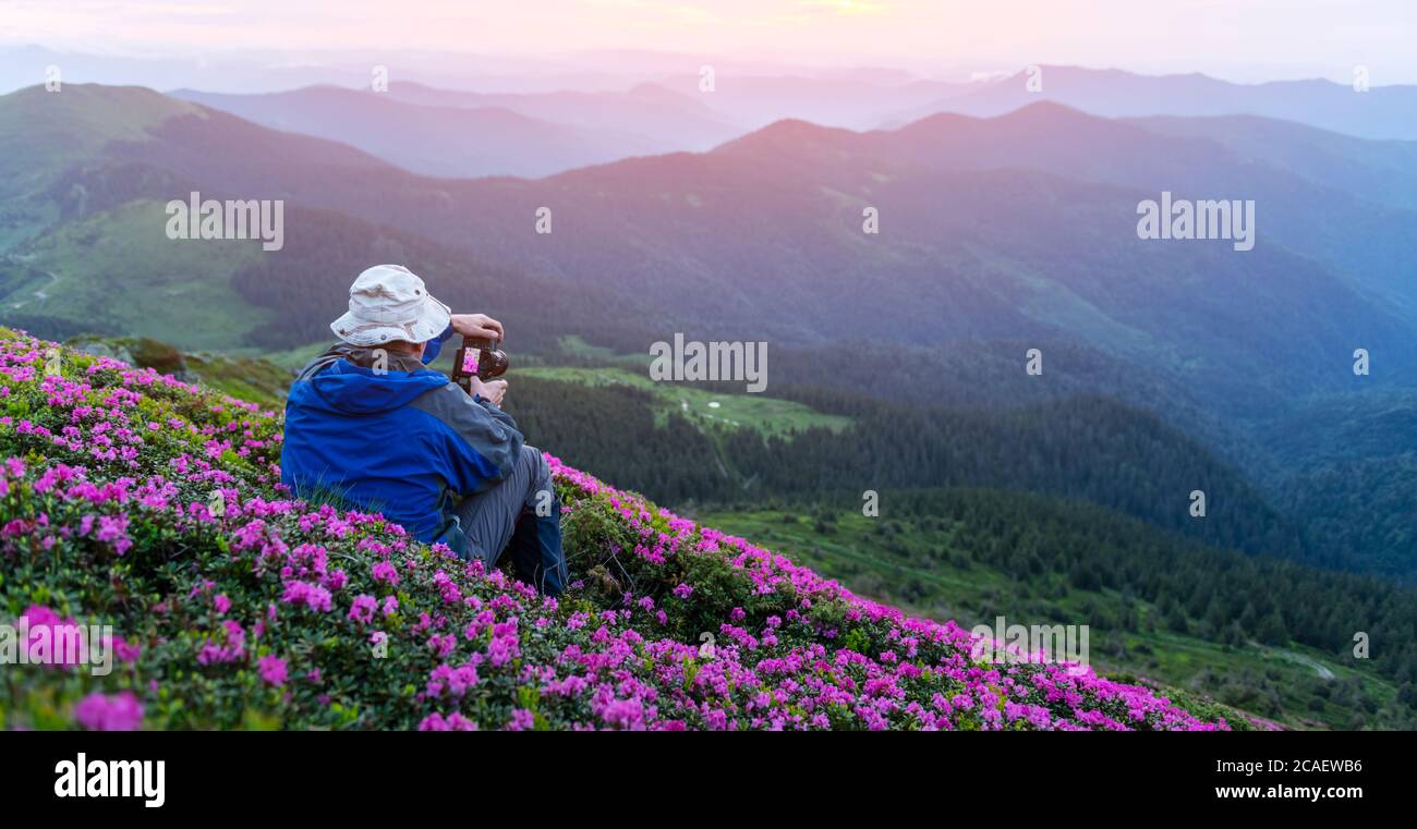 Fotograf fotografiert Rhododendron Blumen bedeckt Berge Wiese im Sommer. Lila Sonnenaufgangslicht leuchtet auf einem Vordergrund. Landschaftsfotografie Stockfoto