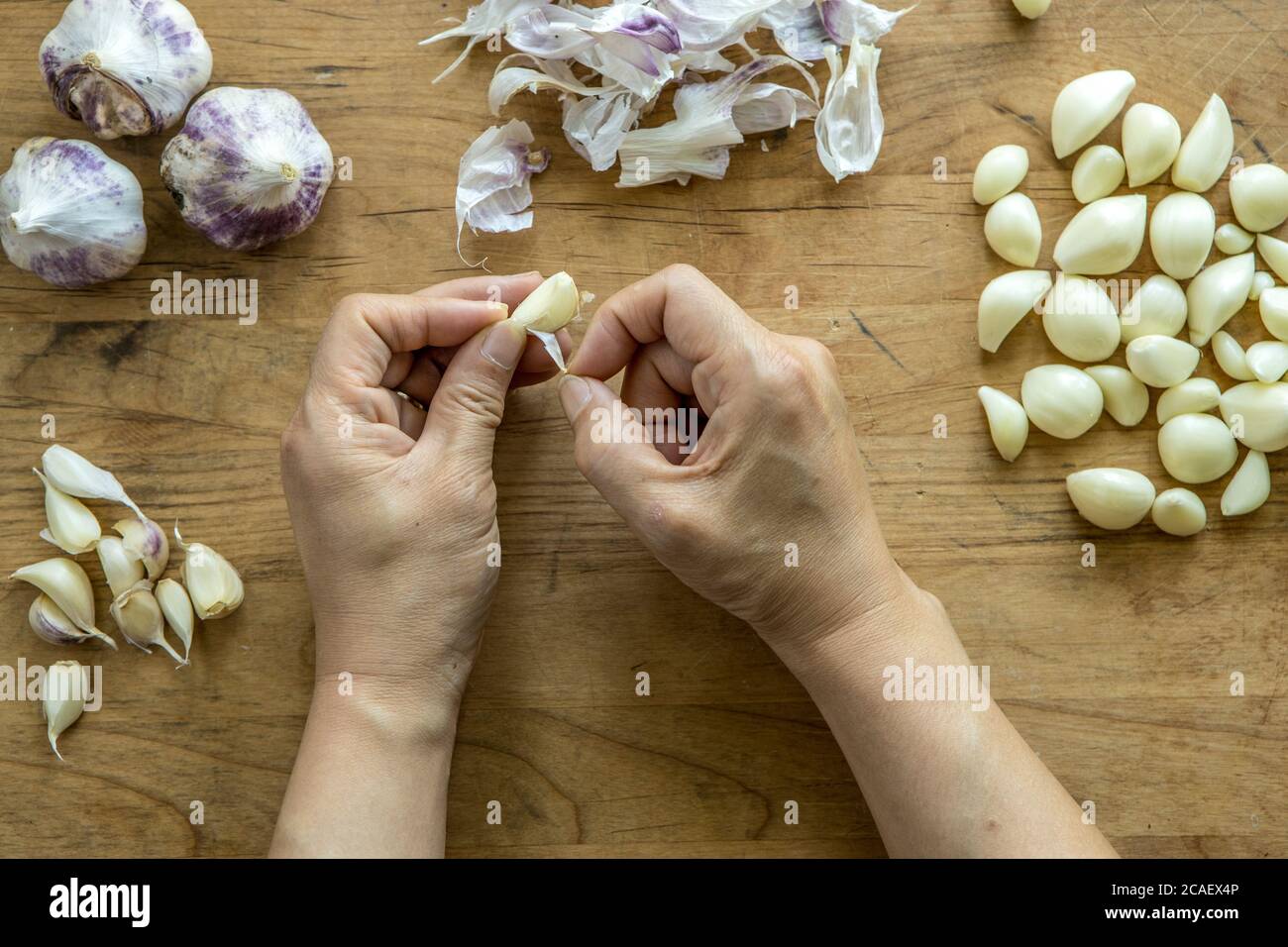 Eine Übersicht über die Hände, die eine Knoblauchzehe schälen. Stockfoto