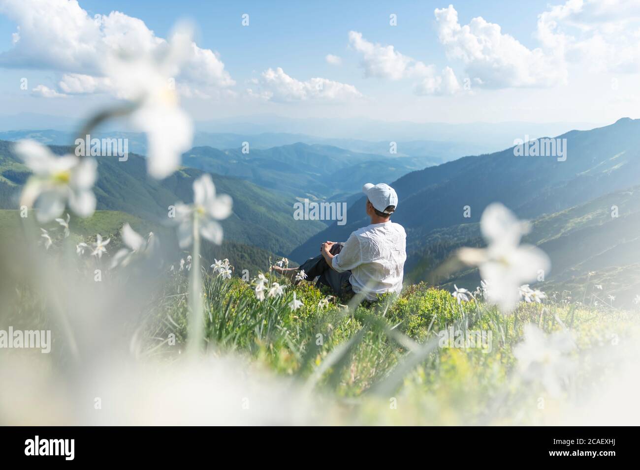 Ein Tourist in weißen Kleidern sitzt auf einer mit weißen Narzissen bedeckten Bergwiese. Karpaten, Europa. Landschaftsfotografie Stockfoto