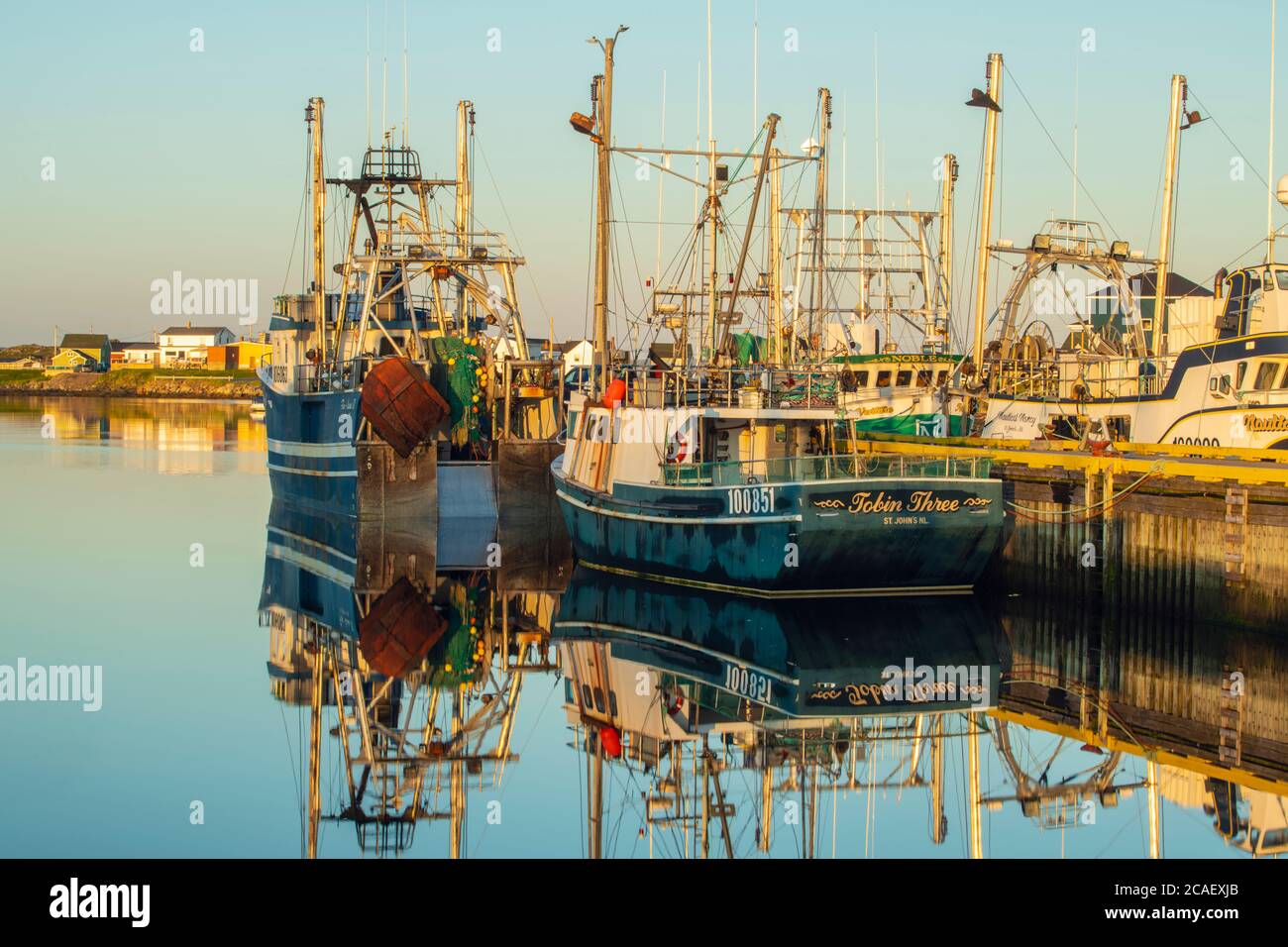 Festgespannte Fischtrawler, Twillingate, Neufundland und Labrador NL, Kanada Stockfoto