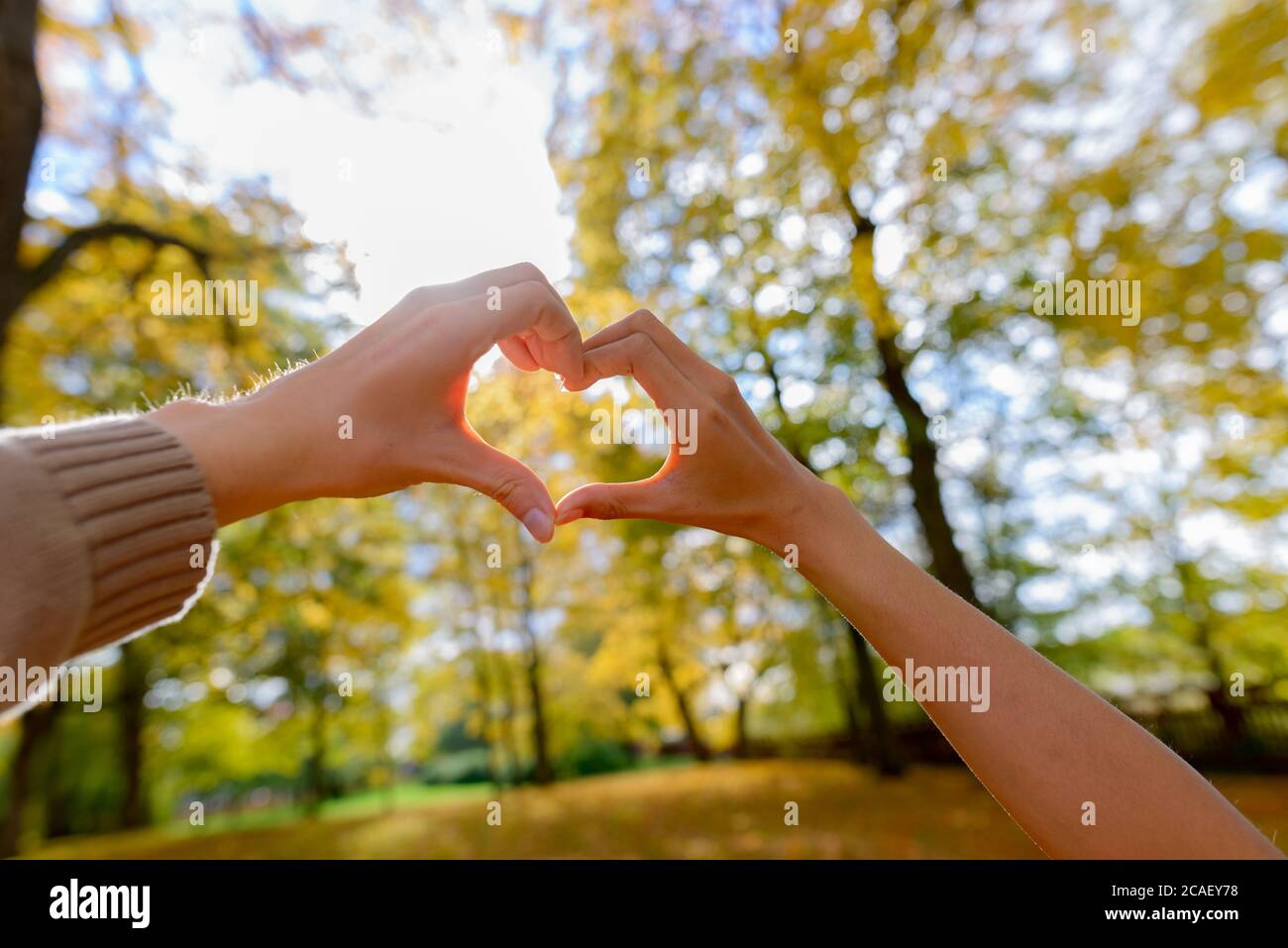 Paar macht Hand Herz Zeichen zusammen in Richtung des Himmels mit malerischen hohen Herbstbäumen und Sonnenstrahlen durch die Blätter strahlen Stockfoto