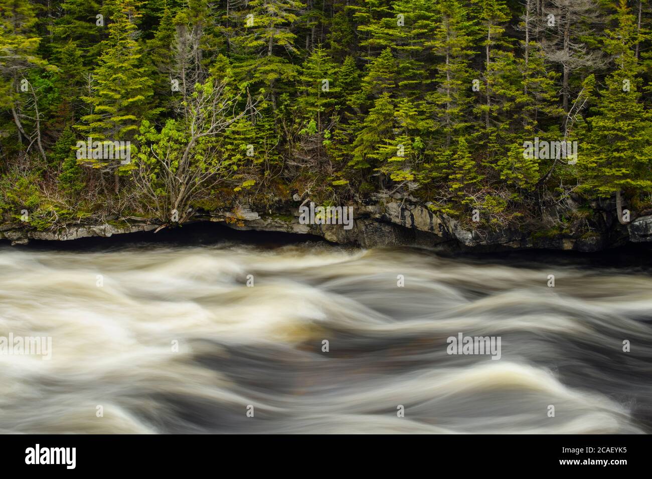 Stromschnellen auf dem Fluss der Teiche, Fluss der Teiche, Neufundland und Labrador NL, Kanada Stockfoto
