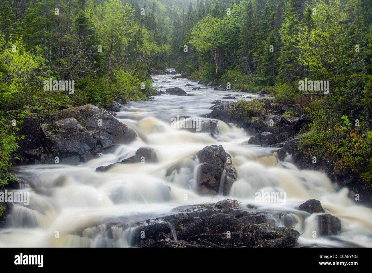 Triple Falls, St. Anthony, Neufundland und Labrador NL, Kanada Stockfoto