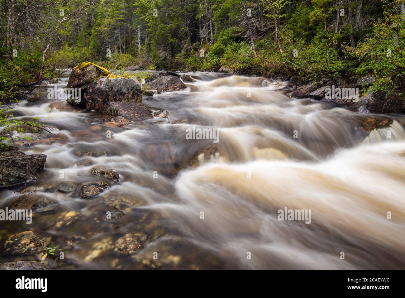 Triple Falls Stream, St. Anthony, Neufundland und Labrador NL, Kanada Stockfoto