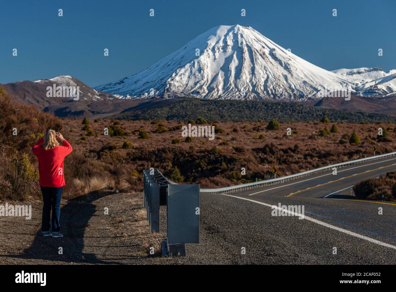 Ein Blick von der Desert Road des Mt Ngauruhoe in Neuseeland vulkanischen Plateau. Stockfoto