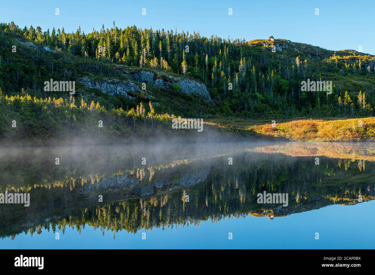 Teiche und borealer Wald spiegeln sich in der Morgendämmerung, Highway 470 in der Nähe von Burnt Islands, Neufundland und Labrador NL, Kanada Stockfoto