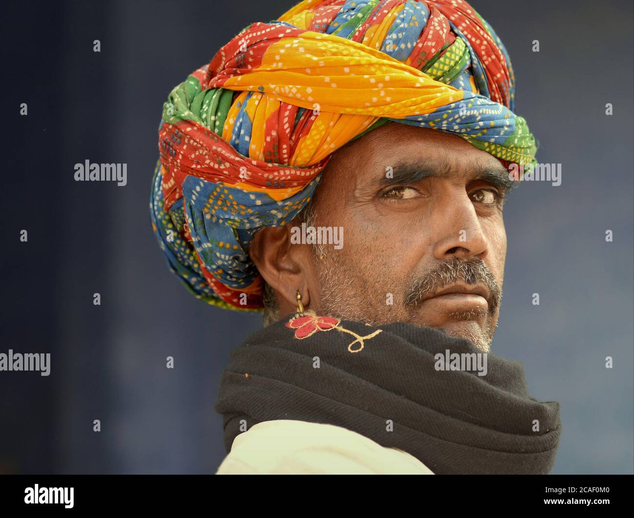 Gut aussehend, mittleren Alters indischen Rajasthani Mann mit bunten Rajasthani Turban (Pagari, pagri, Pagadi) Posen für die Kamera. Stockfoto